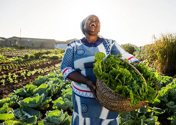 Kenyan farmer receiving farm inputs